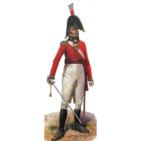 Figurines historiques British Command Napoleonic x 24 figures